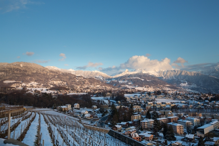 Fin de journée dans le Lavaux - 016